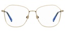 LEVIS (LEV) Frame LV 1013(FRAME COLOR CODE: J5G,FRAME BOX SIZE (MM): 53.0)