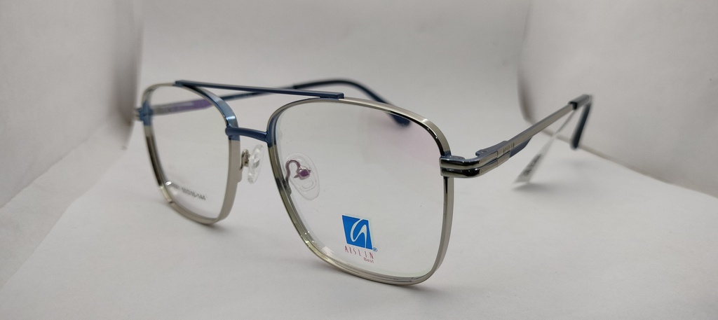 AISLIN (AISLIN) FRAME ASN (AISLIN)-FRAME 88001