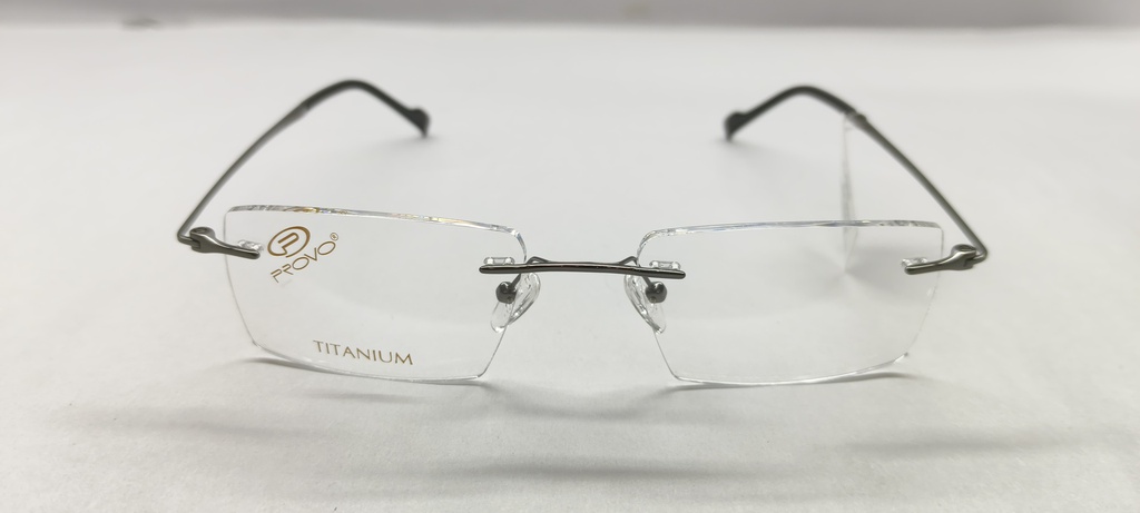 PROVO (PROVO) FRAME PT5818 TITANIUM